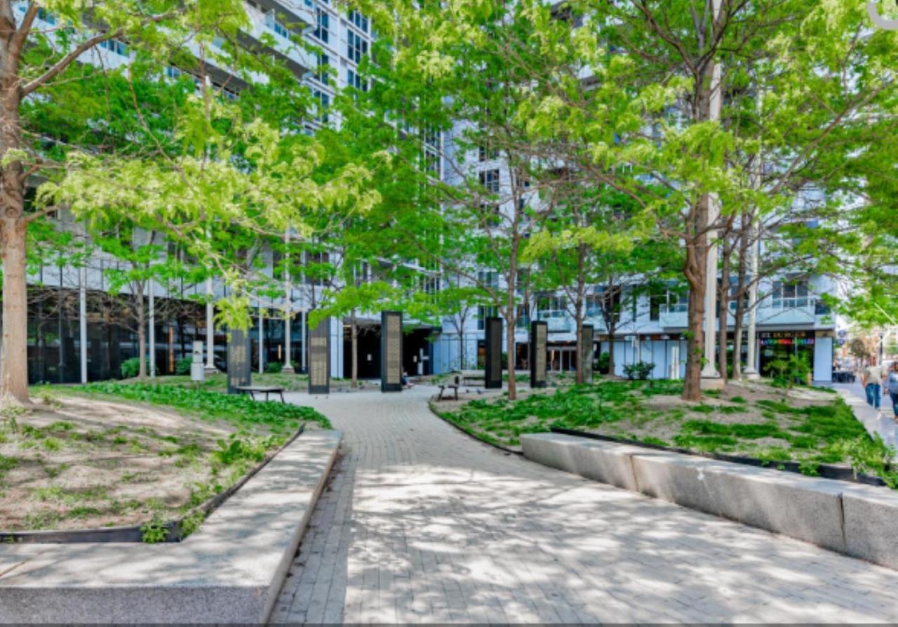 Executive 2 Beds Near Cn Tower, Rogers Centre, Scotia Area, Business District, Entertainment District, Lakeshore Toronto Exteriör bild